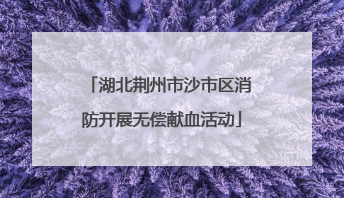 湖北荆州市沙市区消防开展无偿献血活动