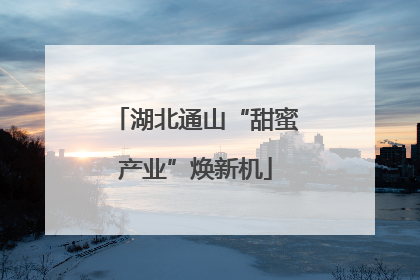 湖北通山“甜蜜产业”焕新机