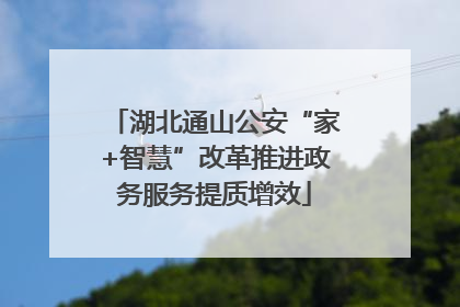 湖北通山公安“家+智慧”改革推进政务服务提质增效