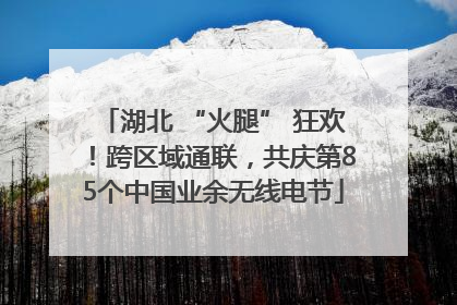 湖北 “火腿” 狂欢!跨区域通联,共庆第85个中国业余无线电节