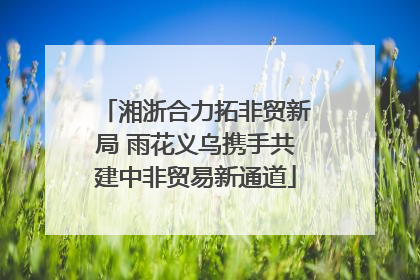 湘浙合力拓非贸新局 雨花义乌携手共建中非贸易新通道