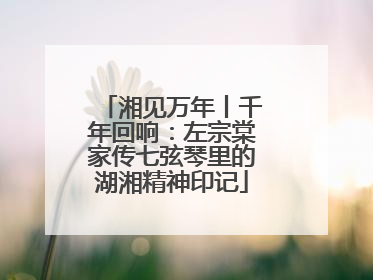 湘见万年丨千年回响：左宗棠家传七弦琴里的湖湘精神印记