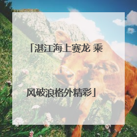 湛江海上赛龙 乘风破浪格外精彩