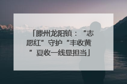滕州龙阳镇：“志愿红”守护“丰收黄”夏收一线显担当