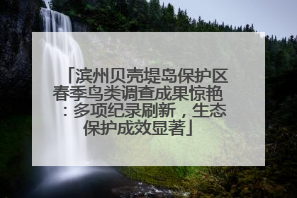 滨州贝壳堤岛保护区春季鸟类调查成果惊艳：多项纪录刷新，生态保护成效显著