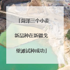 菏泽三个小麦新品种在新疆戈壁滩试种成功