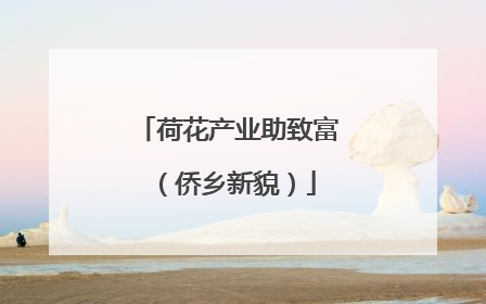 荷花产业助致富（侨乡新貌）