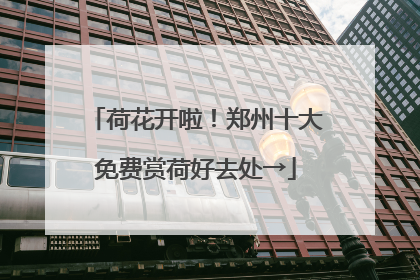 荷花开啦！郑州十大免费赏荷好去处→