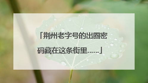 荆州老字号的出圈密码藏在这条街里……