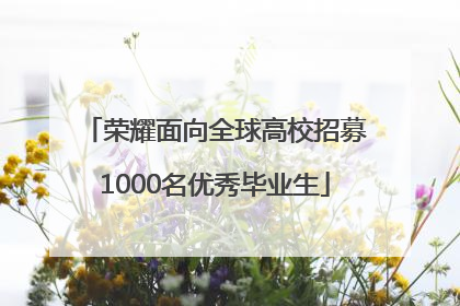 荣耀面向全球高校招募1000名优秀毕业生