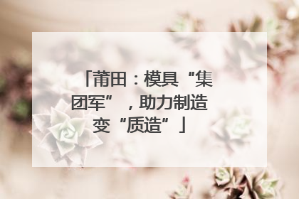 莆田：模具“集团军”，助力制造变“质造”