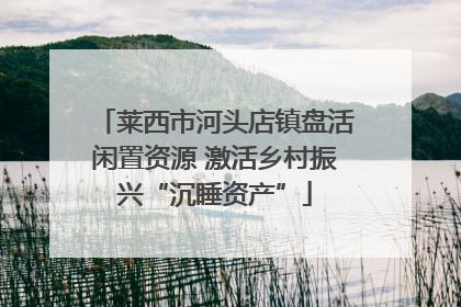 莱西市河头店镇盘活闲置资源 激活乡村振兴“沉睡资产”