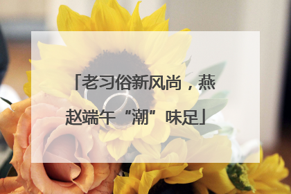 老习俗新风尚，燕赵端午“潮”味足