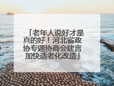 老年人说好才是真的好！河北省政协专题协商会建言加快适老化改造