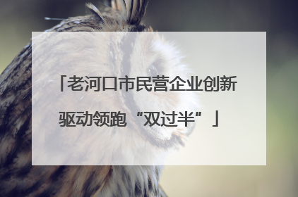 老河口市民营企业创新驱动领跑“双过半”