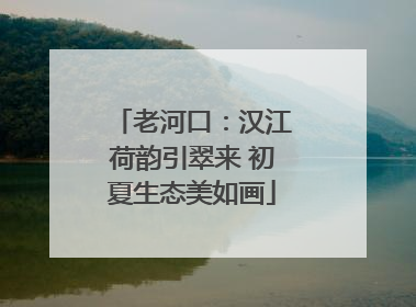 老河口：汉江荷韵引翠来 初夏生态美如画