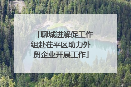 聊城进解促工作组赴茌平区助力外贸企业开展工作
