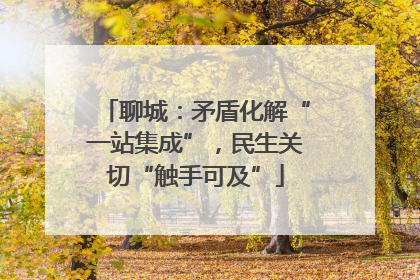 聊城：矛盾化解“一站集成”，民生关切“触手可及”