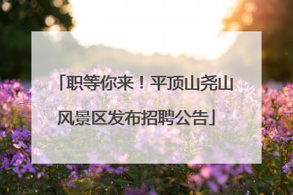 职等你来！平顶山尧山风景区发布招聘公告