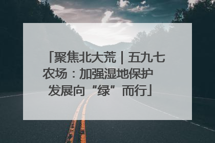 聚焦北大荒｜五九七农场：加强湿地保护 发展向“绿”而行