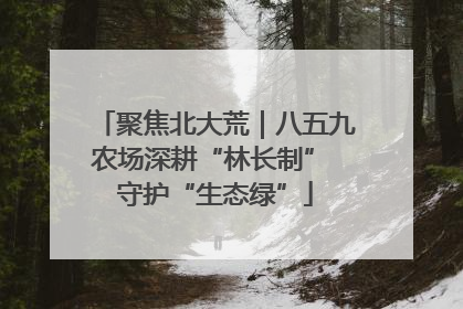 聚焦北大荒｜八五九农场深耕“林长制” 守护“生态绿”