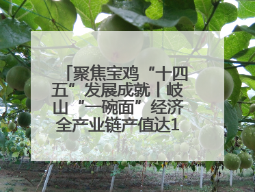 聚焦宝鸡“十四五”发展成就丨岐山“一碗面”经济全产业链产值达162亿元 入选全国典型县