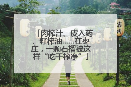 肉榨汁、皮入药、籽榨油……在枣庄，一颗石榴被这样“吃干榨净”