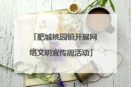 肥城桃园镇开展网络文明宣传周活动