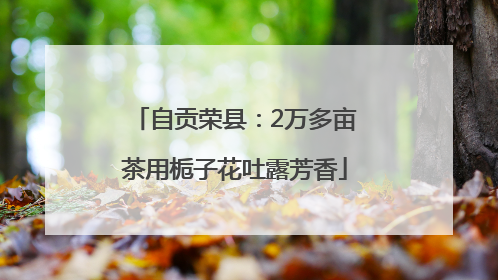 自贡荣县：2万多亩茶用栀子花吐露芳香
