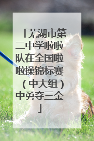 芜湖市第二中学啦啦队在全国啦啦操锦标赛（中大组）中勇夺三金