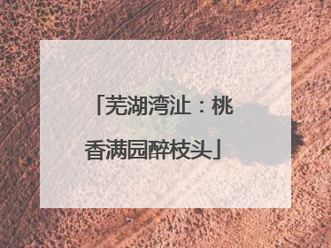 芜湖湾沚：桃香满园醉枝头