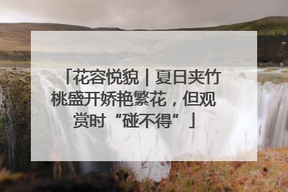 花容悦貌｜夏日夹竹桃盛开娇艳繁花，但观赏时“碰不得”