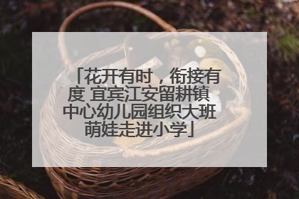 花开有时，衔接有度 宜宾江安留耕镇中心幼儿园组织大班萌娃走进小学