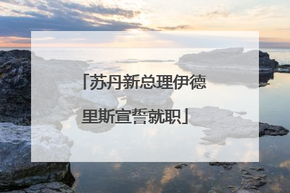 苏丹新总理伊德里斯宣誓就职