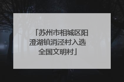 苏州市相城区阳澄湖镇消泾村入选全国文明村