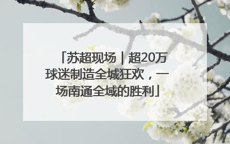 苏超现场｜超20万球迷制造全城狂欢，一场南通全域的胜利