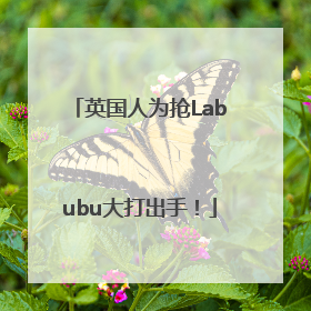 英国人为抢Labubu大打出手！