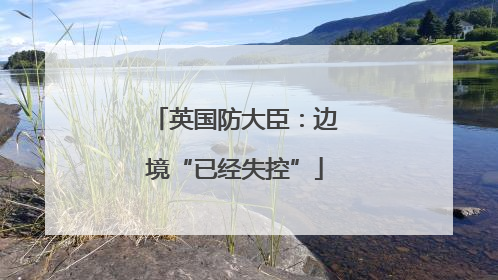 英国防大臣：边境“已经失控”