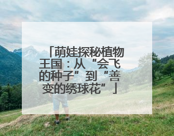 萌娃探秘植物王国：从“会飞的种子”到“善变的绣球花”