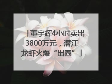 董宇辉4小时卖出3800万元，潜江龙虾火爆“出圈”
