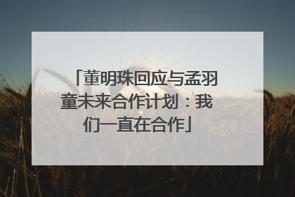 董明珠回应与孟羽童未来合作计划：我们一直在合作