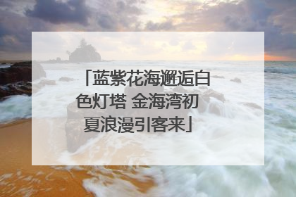蓝紫花海邂逅白色灯塔 金海湾初夏浪漫引客来