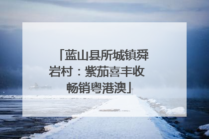 蓝山县所城镇舜岩村：紫茄喜丰收 畅销粤港澳