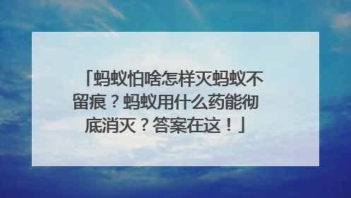 蚂蚁怕啥怎样灭蚂蚁不留痕？蚂蚁用什么药能彻底消灭？答案在这！