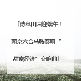 诗意田园迎端午！南京六合马鞍奏响“甜蜜经济”交响曲