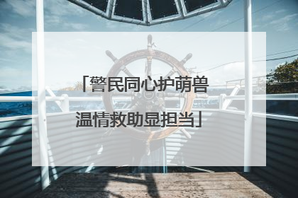 警民同心护萌兽 温情救助显担当