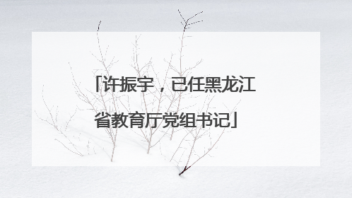 许振宇，已任黑龙江省教育厅党组书记