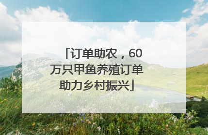 订单助农，60万只甲鱼养殖订单助力乡村振兴