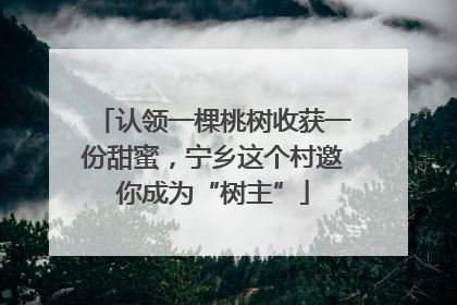 认领一棵桃树收获一份甜蜜，宁乡这个村邀你成为“树主”