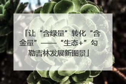 让“含绿量”转化“含金量”——“生态+”勾勒吉林发展新图景